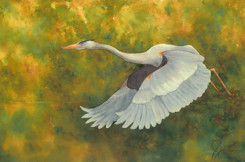 Lift Off