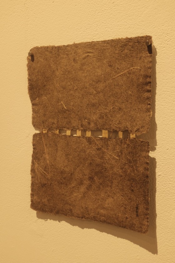 Connected Papyrus 
