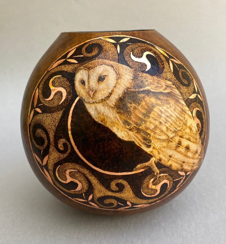 Barn Owl
