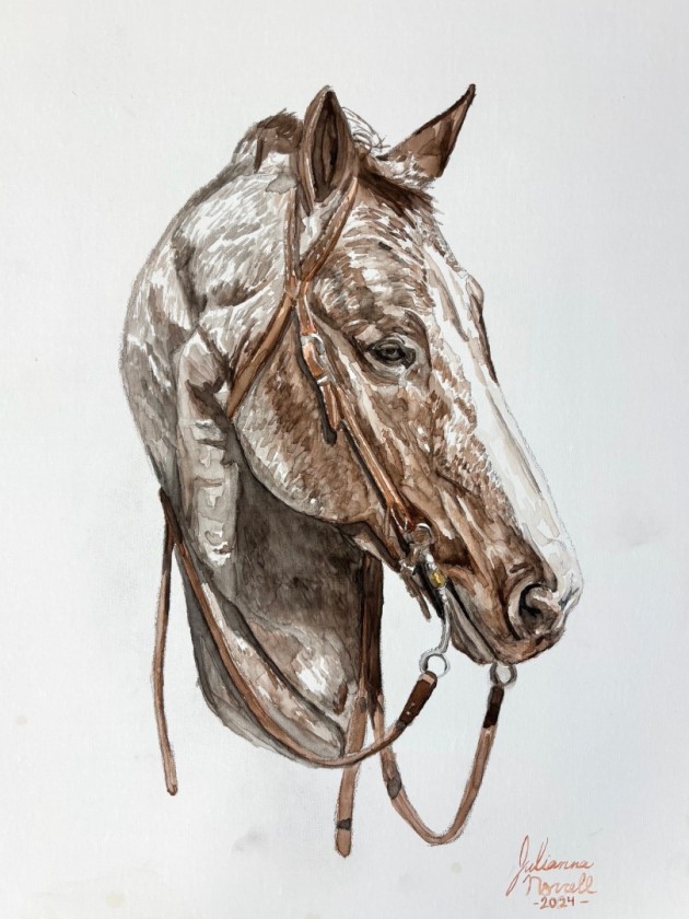 Roany Pony