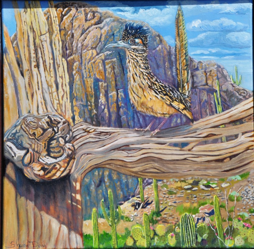Roadrunner nice vantage point