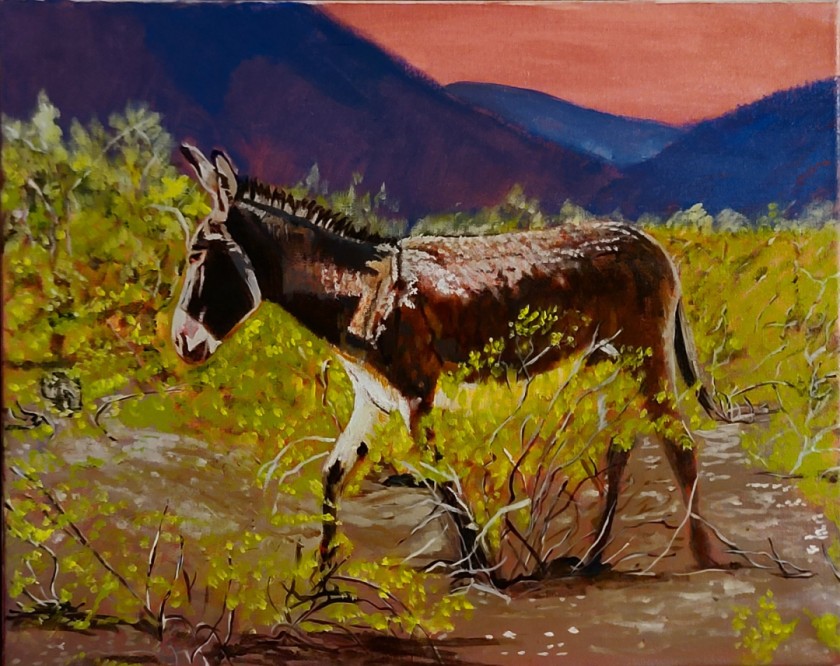 Donkey days
