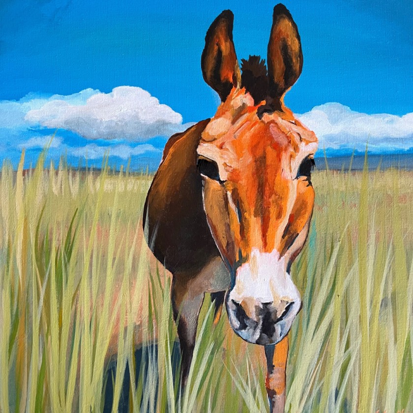 Curious Mule