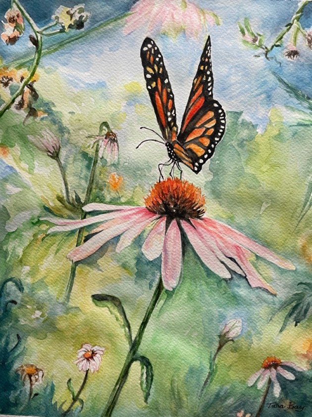Dancing Butterfly