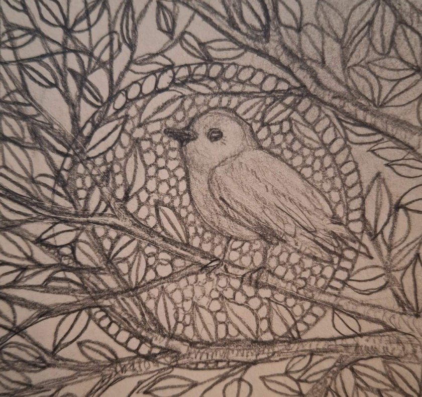 Little Bird