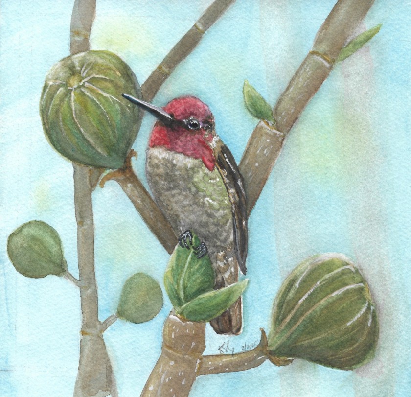 With the Winter Figs