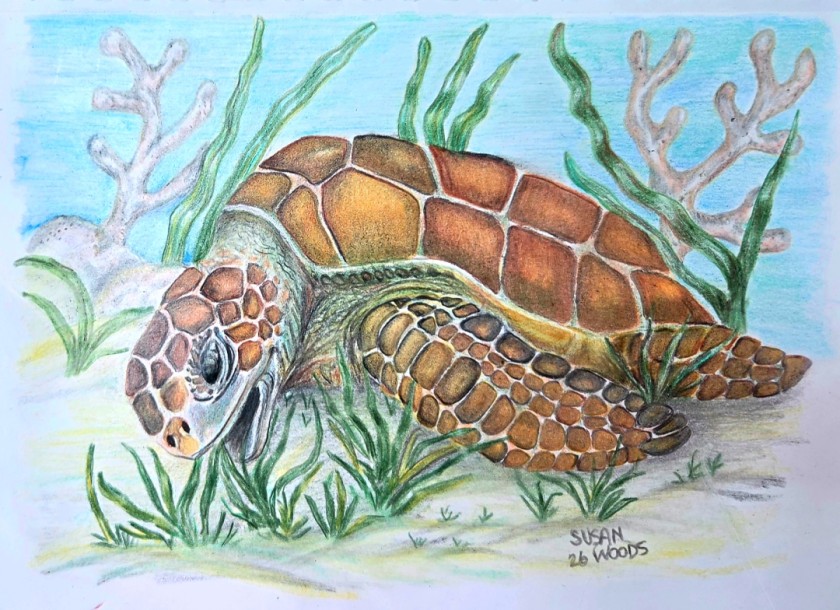 Grazing thru the sea