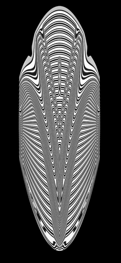 Cocoon in Deco
