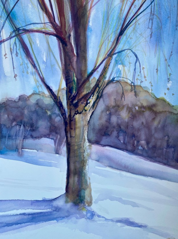 Birch tree Be
