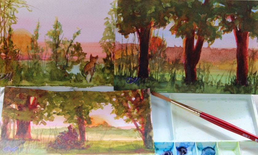 Wildfire Haze Sunset with field fox set