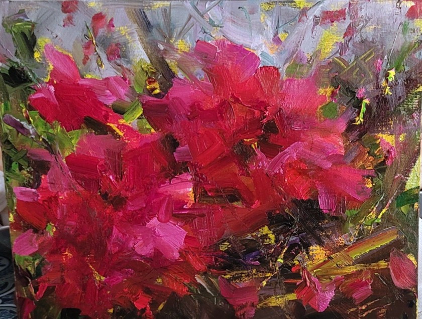 Bougainvillea
