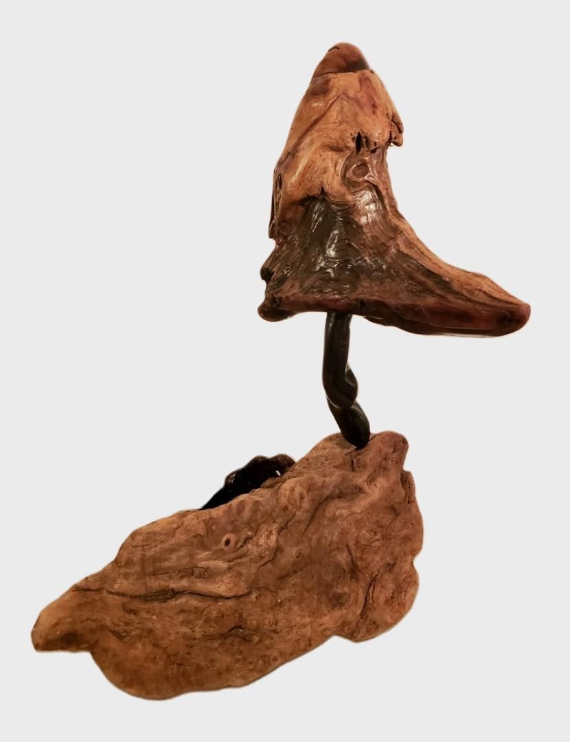 DW8 - Sculpture / 3D / Wood