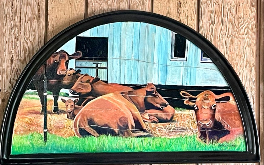 Cows on 104th Frankfort, Il