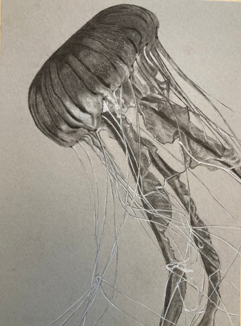 Tangled Up in Blue - Drawing