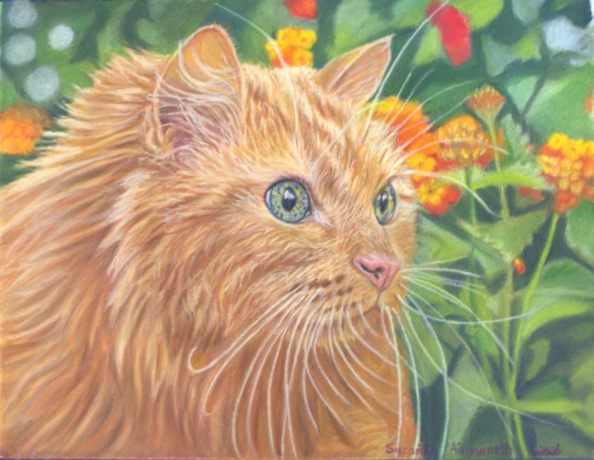 Ginger
